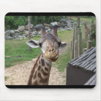 Giraffe mousepads