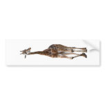 Giraffe Named Tip Top Bumper Sticker..!