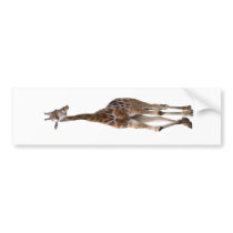 Giraffe Named Tip Top Bumper Sticker..! bumper stickers