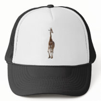 Giraffe Named Tip Top Hat..!