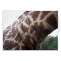 Giraffe Neck cards