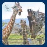 Giraffe News Sticker stickers