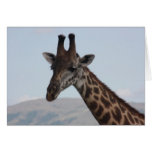 Giraffe Note Card