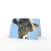 Giraffe notecard