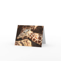Giraffe Notecards by InnerImage Giraffe Notecards