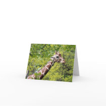 Giraffe Notecards by Captain_Panama Giraffe Notecards