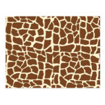 Giraffe pattern animal print postcards