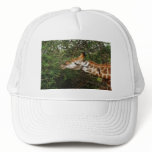 Giraffe peak caps & hats