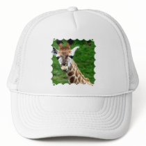 Giraffe Photo Baseball Hat