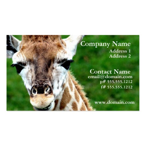 Giraffe Photo Business Card (front side)