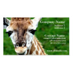 Giraffe Photo Business Card
