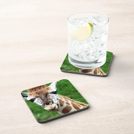 Giraffe Photo Cork Coasters
