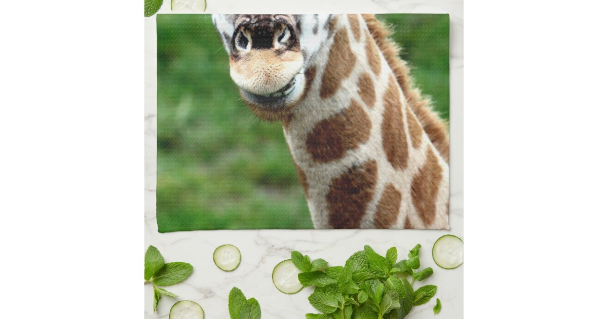 Giraffe Photo Kitchen Towel | Zazzle