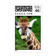 Giraffe Photo Postage Stamp