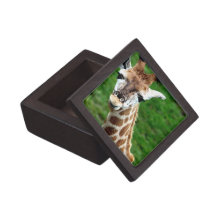 Giraffe Photo Premium Gift Box