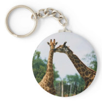 Giraffe Photograph Keychains