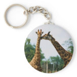 Giraffe Photograph keychains