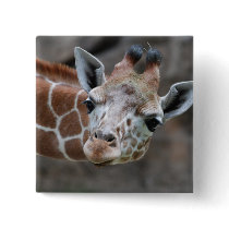 Giraffe  Pin