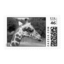 Giraffe postage