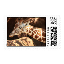 Giraffe Postage
