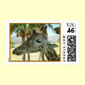 Giraffe Postage postage