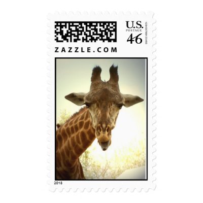 Giraffe Postage by GABPhotography