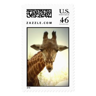 Giraffe Postage