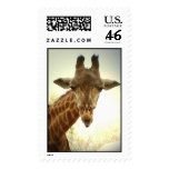 Giraffe Postage