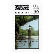 Giraffe postage