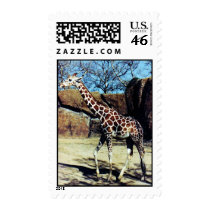 Giraffe..Postage postage by beesplace Giraffe..Postage postage