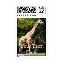 Giraffe Postage