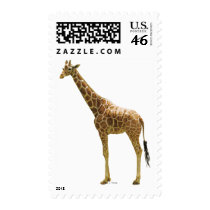 Giraffe stamps