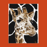 animals, wild, nature, protection, ecology, love,