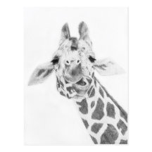 Giraffe Postcards