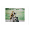 Giraffe posters by christellewiggins Giraffe posters