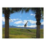 Giraffe Giraffe