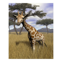 Giraffe posters by jasonmit Giraffe posters