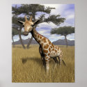 Giraffe posters