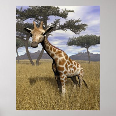 Giraffe Poster by jasonmit