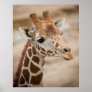 Giraffe Print
