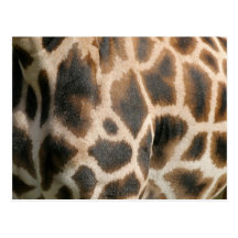 Giraffe Print Pattern Postcard