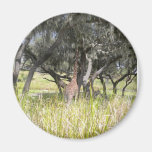Giraffe reaching for tree limb fridge magnet