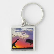 Giraffe silhouetted at sunrise, Giraffa Key Chains
