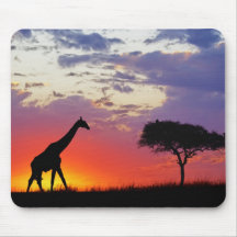 Giraffe silhouetted at sunrise, Giraffa Mouse Pads
