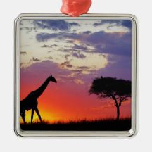 Giraffe silhouetted at sunrise, Giraffa Christmas Tree Ornaments