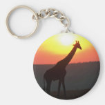 Giraffe - Silhouetted At Sunset Key Chain