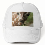 Giraffe Snack Baseball Cap hats