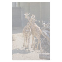 giraffe stationary stationery by imagia77 giraffe stationary stationery
