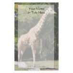 Giraffe Stationery