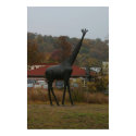 Giraffe Statute posters by cmphoto Giraffe Statute posters